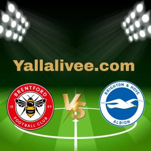 يلا لايف-بث مباشر مباراة برايتون و برينتفورد